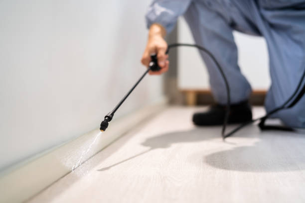 Licensed Pest Control service in Crosbyton, TX - Show Me Pest Control
