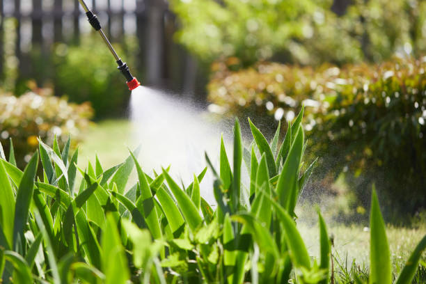Tamper-Resistant Bait Stations for Rodents in Crosbyton