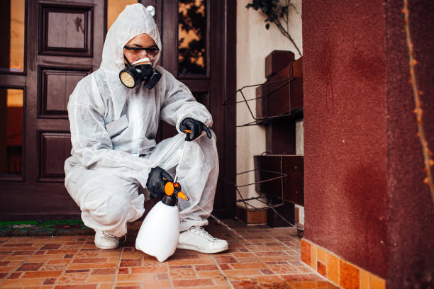 Attic and Crawl Space Rodent Treatment in Crosbyton
