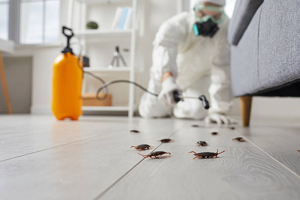 Commercial Rodent Management in Crosbyton